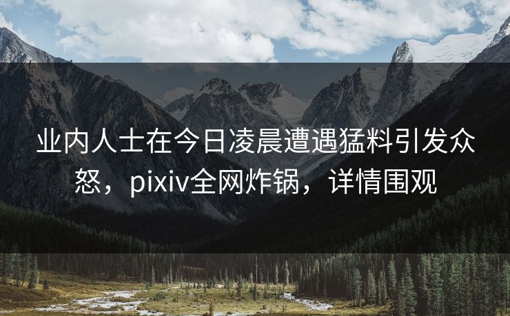 业内人士在今日凌晨遭遇猛料引发众怒，pixiv全网炸锅，详情围观