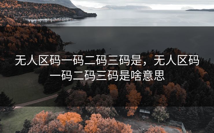 无人区码一码二码三码是，无人区码一码二码三码是啥意思