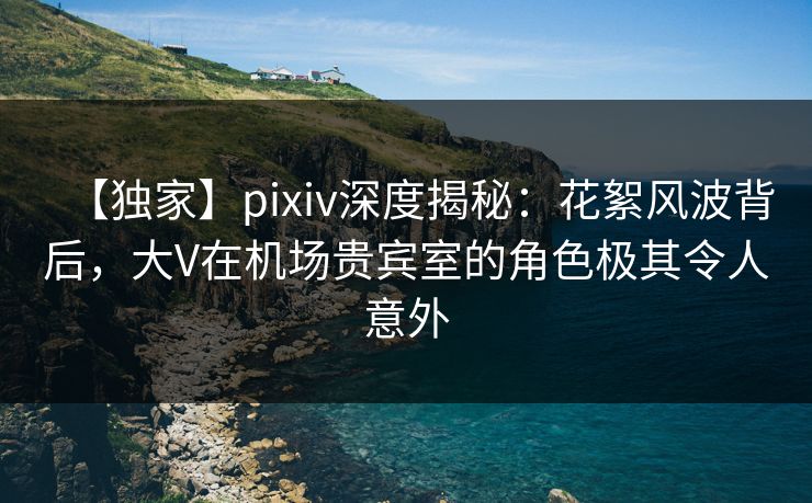 【独家】pixiv深度揭秘:花絮风波背后,大V在机场贵宾室的角色极其令人意外 【独家】pixiv深度揭秘:花絮风波背后,大V在机场贵宾室的角色极其令人意外